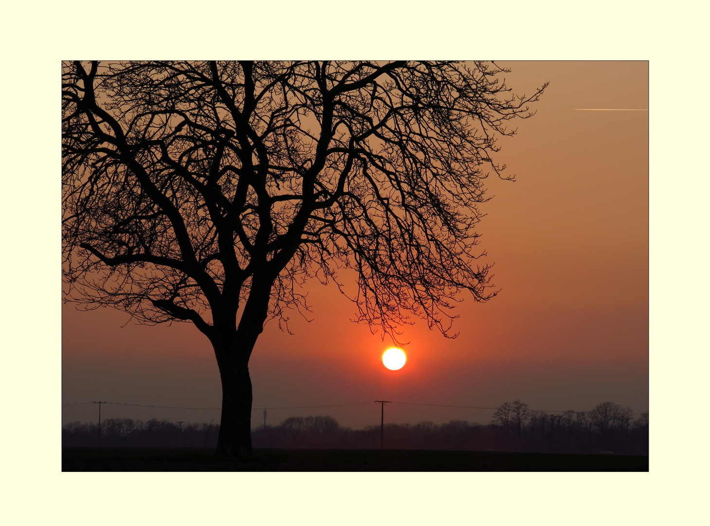 Ein schöner Moment... Foto & Bild sonnenuntergänge, himmel & universum, bäume Bilder auf