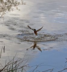 ein schöner Moment