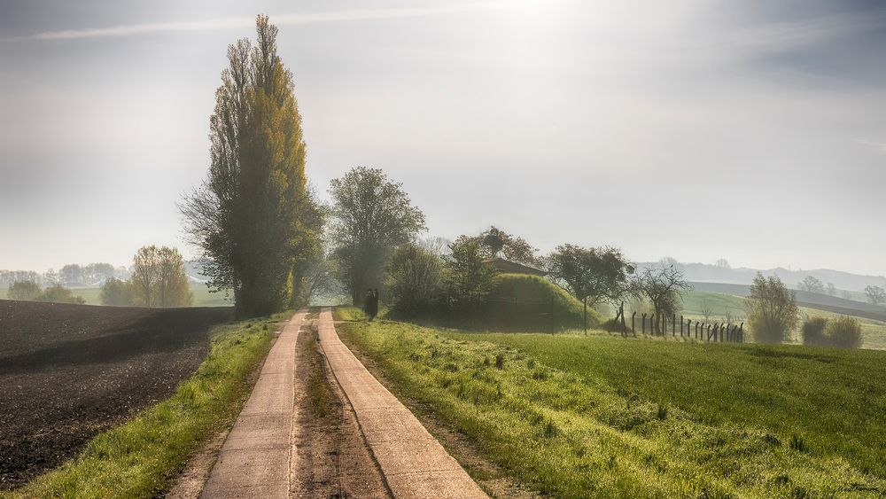 ein schöner Morgen