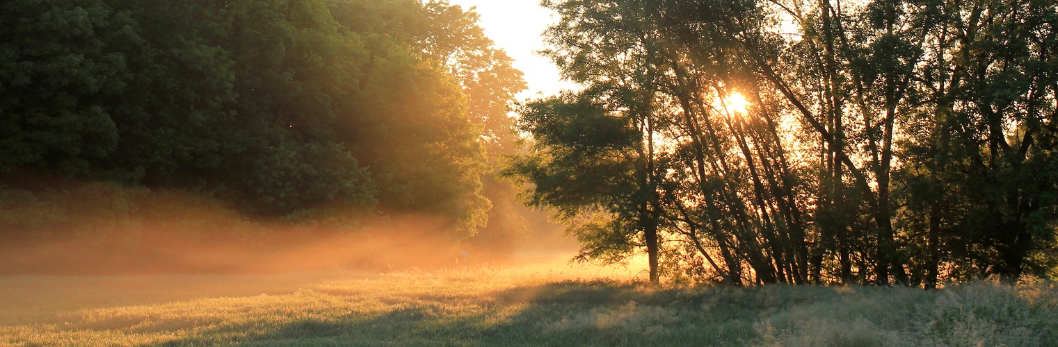 Ein schöner Morgen