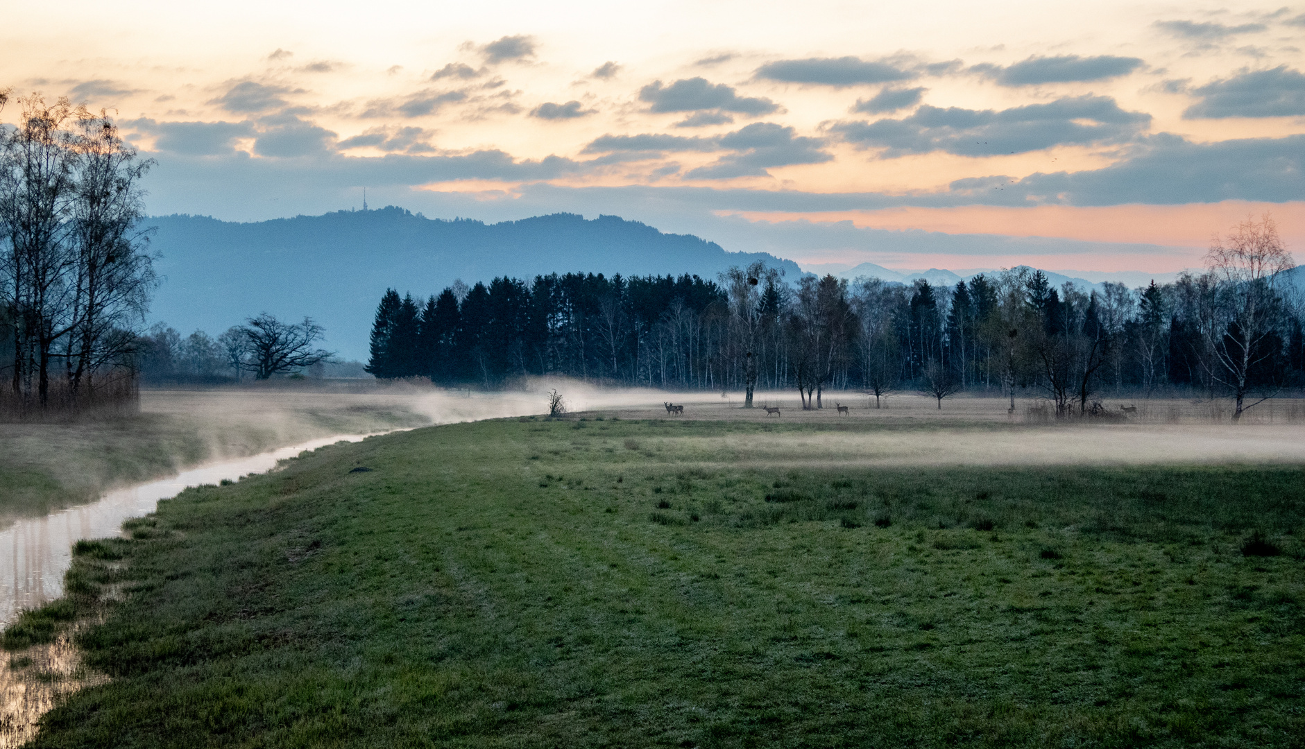 Ein schöner Morgen