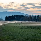 Ein schöner Morgen