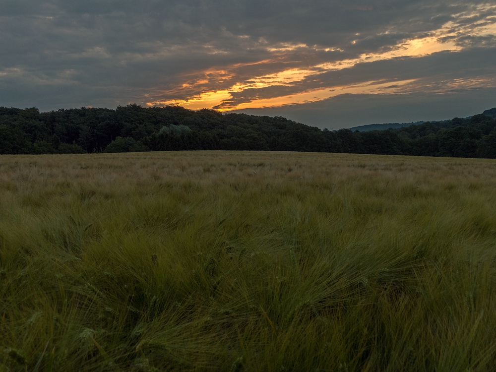 Ein schöner Morgen