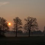 Ein schöner Morgen