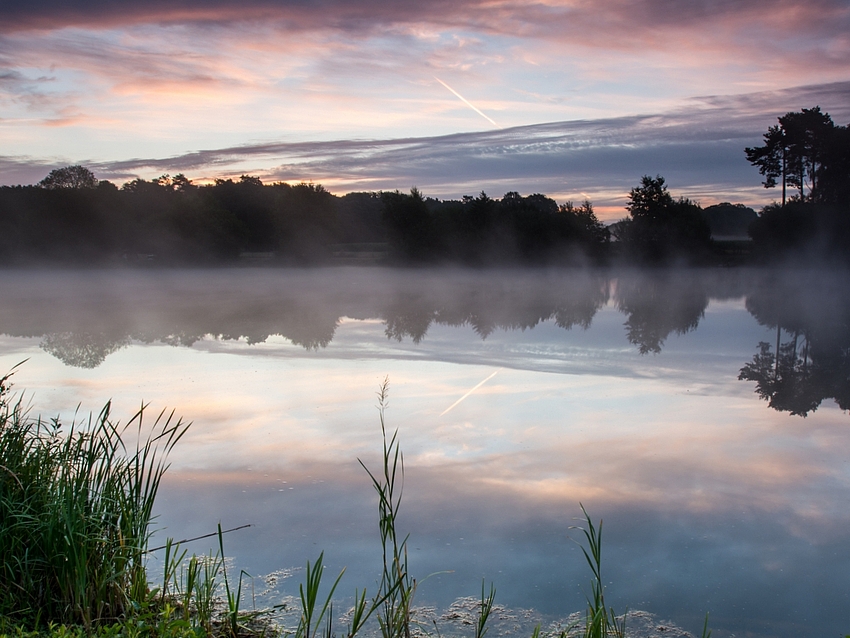 Ein schöner Morgen am Knippenbergsee (Lengerich-NRW)