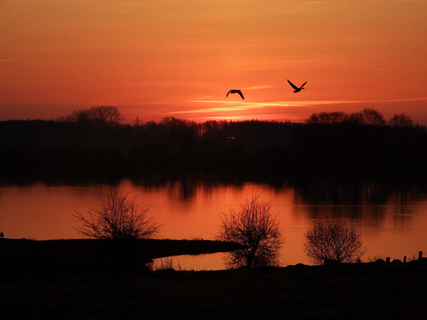 Ein schöner Morgen am See