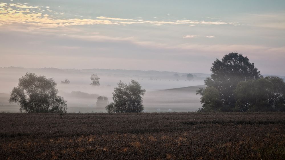 ein schöner Morgen ...