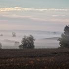 ein schöner Morgen ...