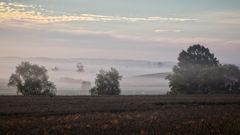 ein schöner Morgen ...