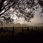 Ein schöner Morgen im Oktober