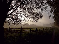 Ein schöner Morgen im Oktober