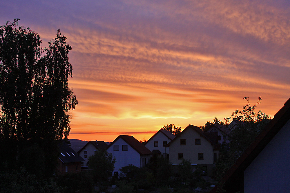 Ein schöner Morgen und ich setze Euch einen zweiten...