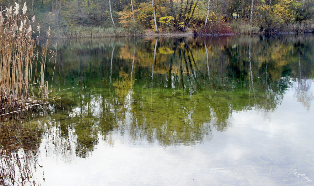 ein schöner Novembertag