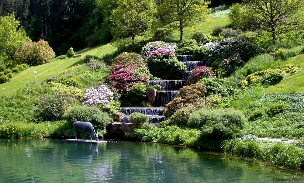 Ein schöner Park... Foto & Bild park, teich, natur Bilder auf