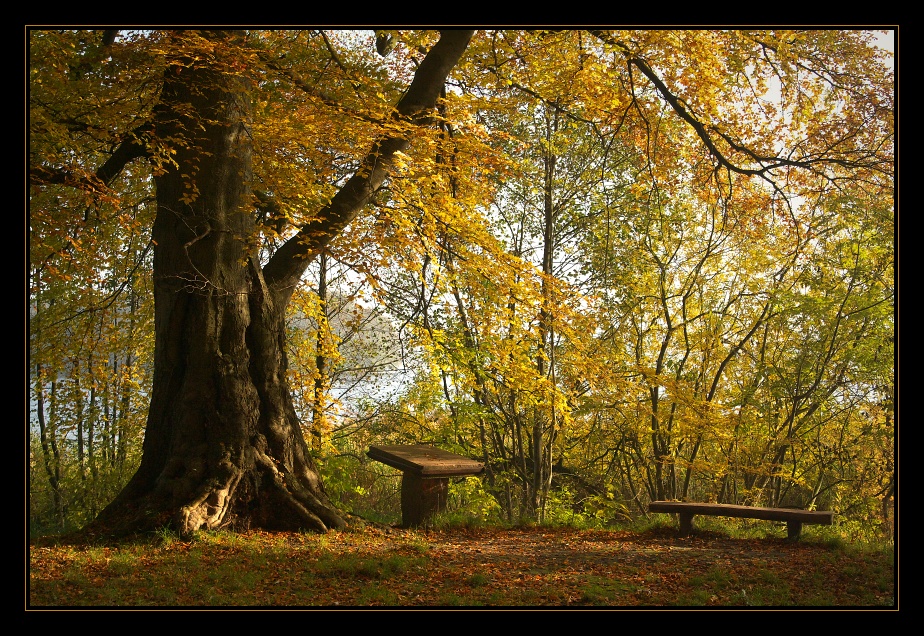 Ein schöner Platz