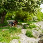 Ein schöner Platz am Ufer der Schlei