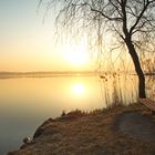 ein schöner Platz am Waginger See 