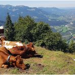 Ein schöner Platz...