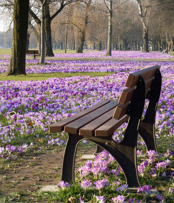 Ein schöner Platz im blauen Band