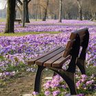 Ein schöner Platz im blauen Band