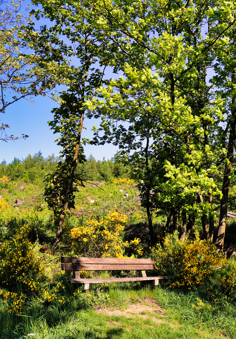 Ein schöner Platz zum entspannen und träumen