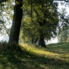 Ein schöner Radweg führt an der Oder lang.