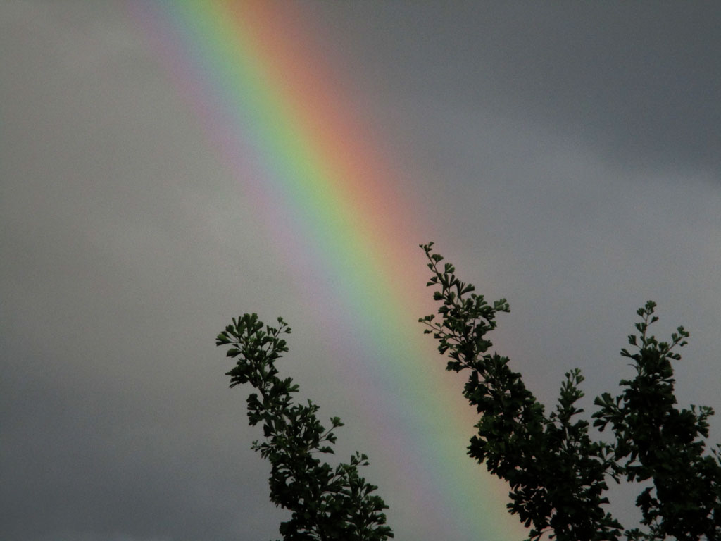 ein schöner Regenbogen