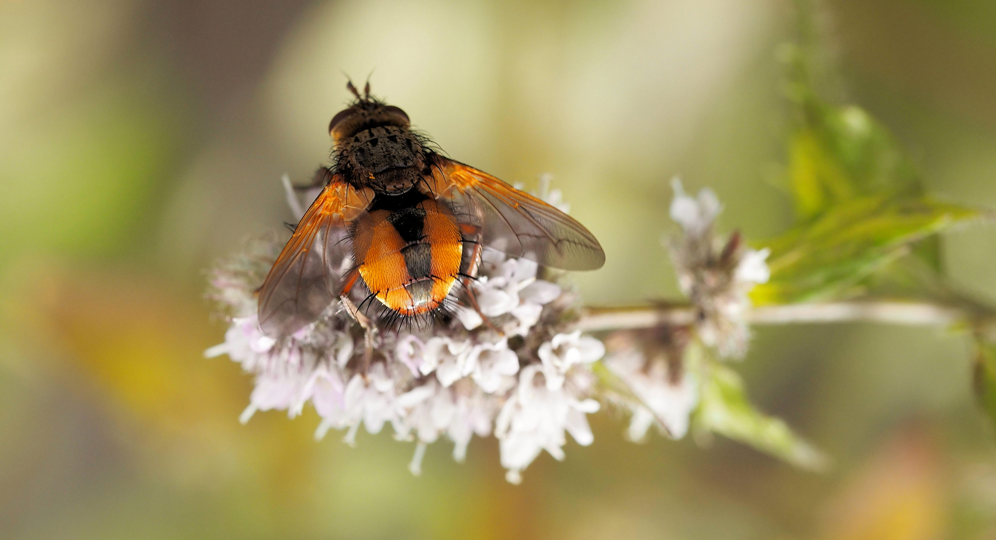 Ein schöner Rücken kann auch entzücken… Foto & Bild fotos, natur