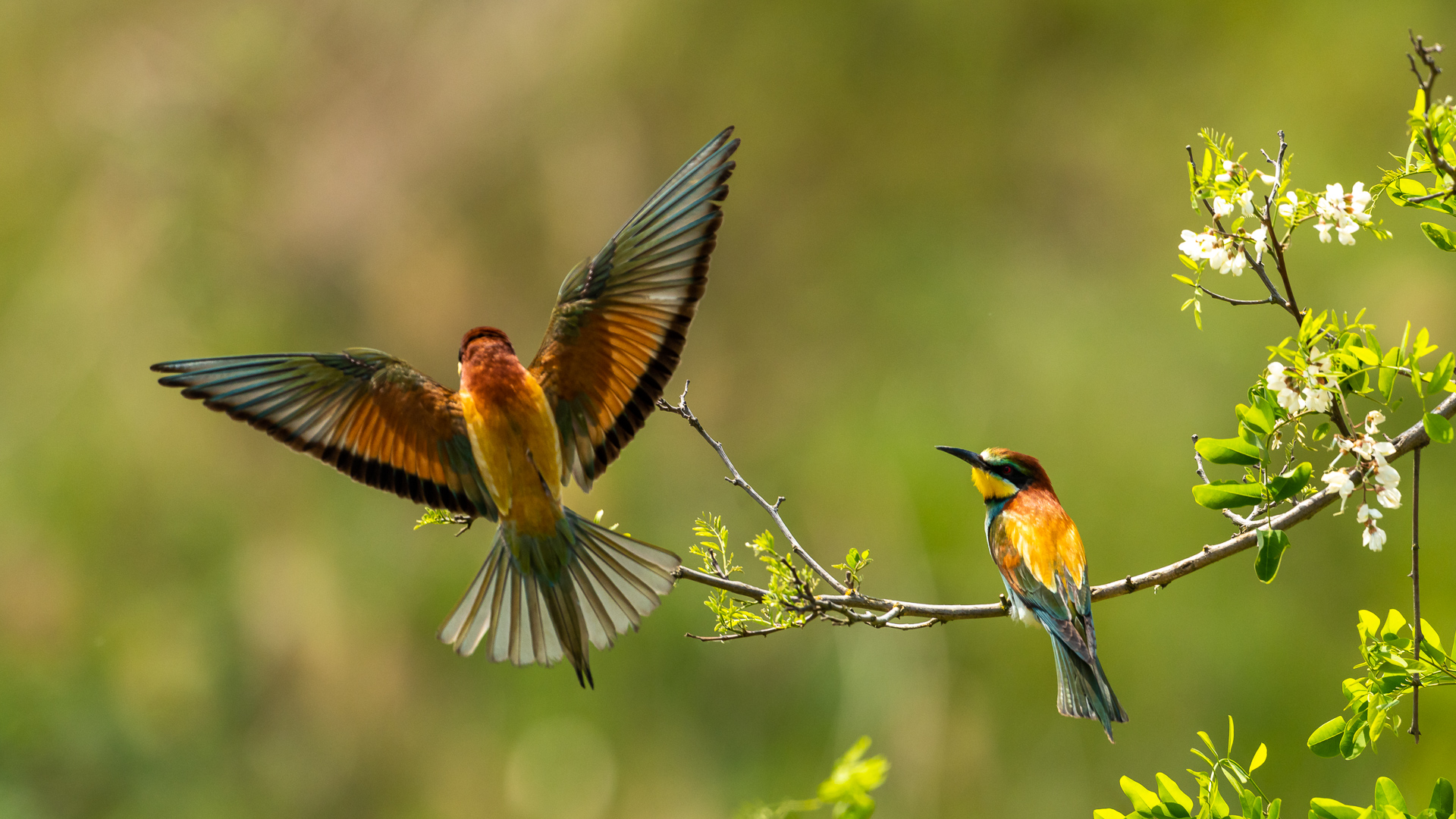 Auch Ein Schöner Rücken Kann Entzücken Bedeutung www.fotocommunity.de