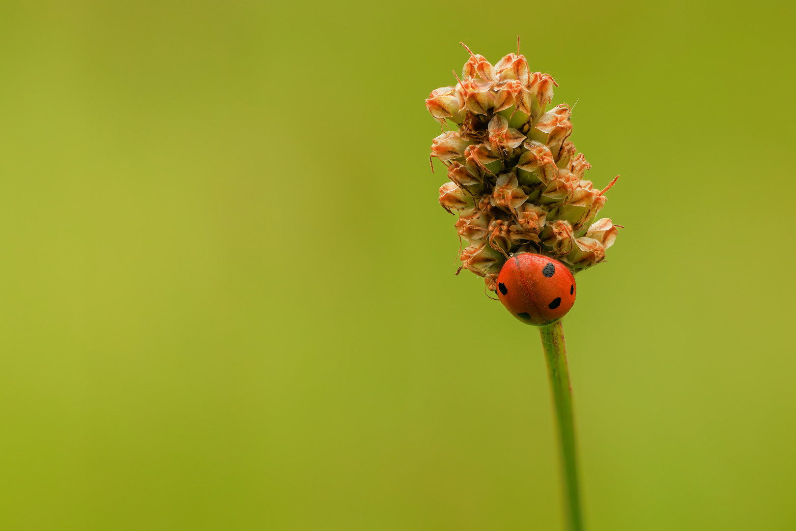 Ein schöner Rücken kann auch entzücken ;) Foto & Bild tiere