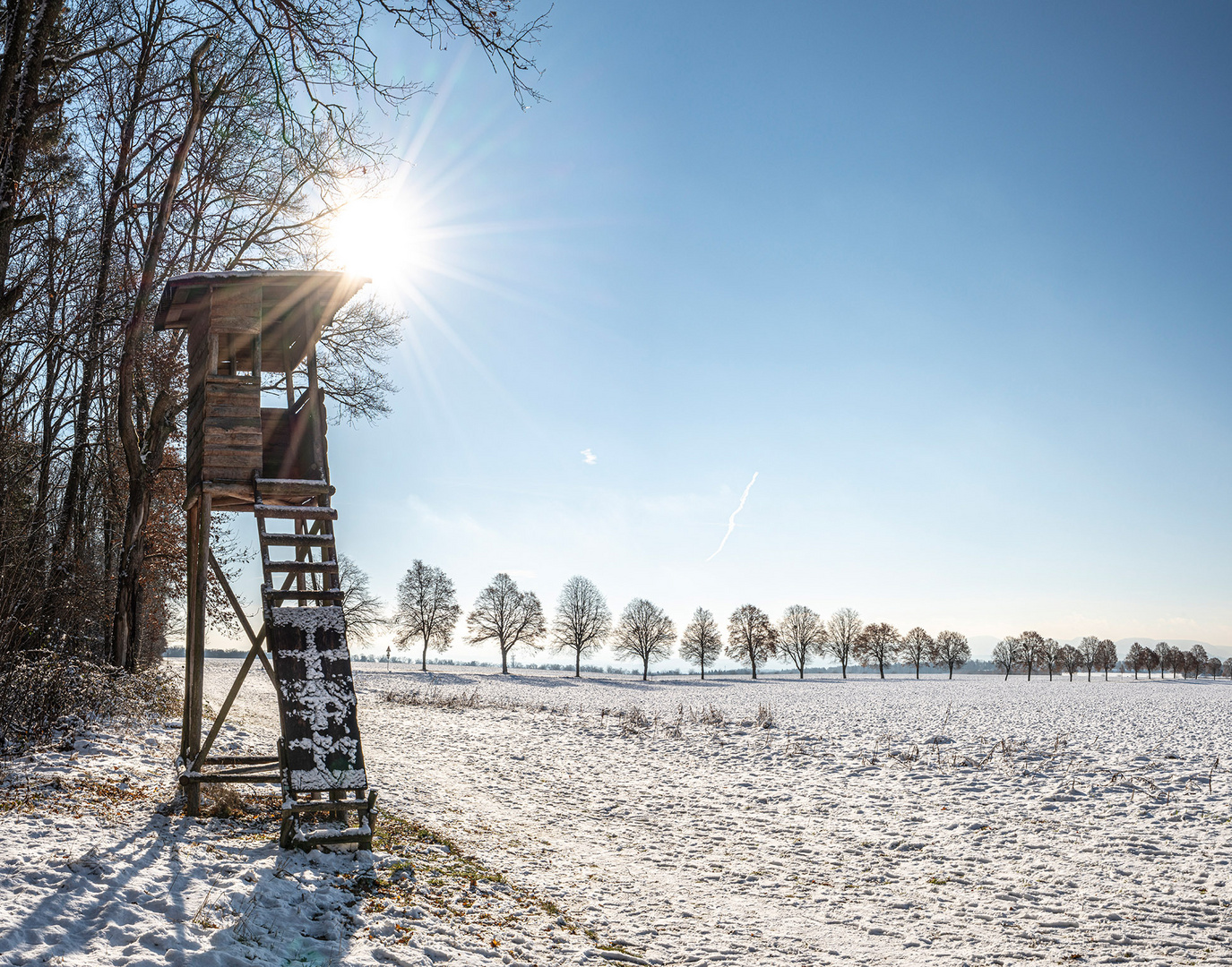 ein schöner Schneetag