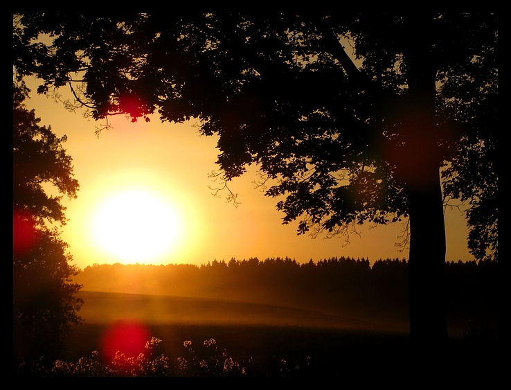 Ein Schöner Sommerabend