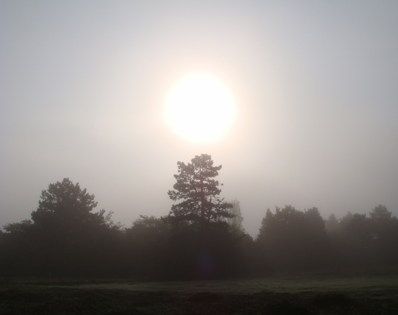 ...ein "schöner" Sommermorgen...