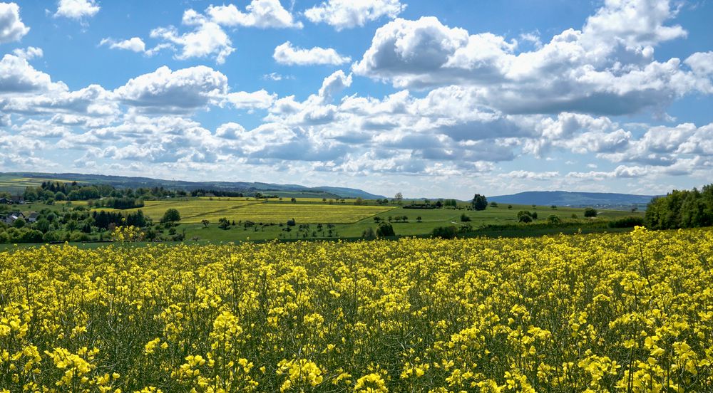 Ein schöner Sommertag