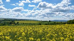 Ein schöner Sommertag