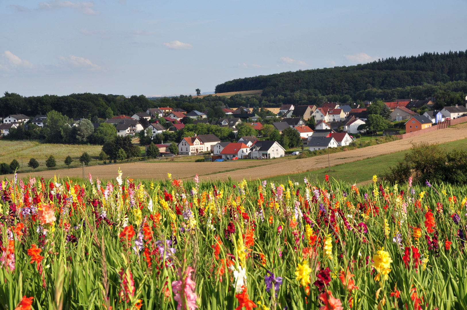 Ein schöner Sommertag