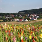 Ein schöner Sommertag