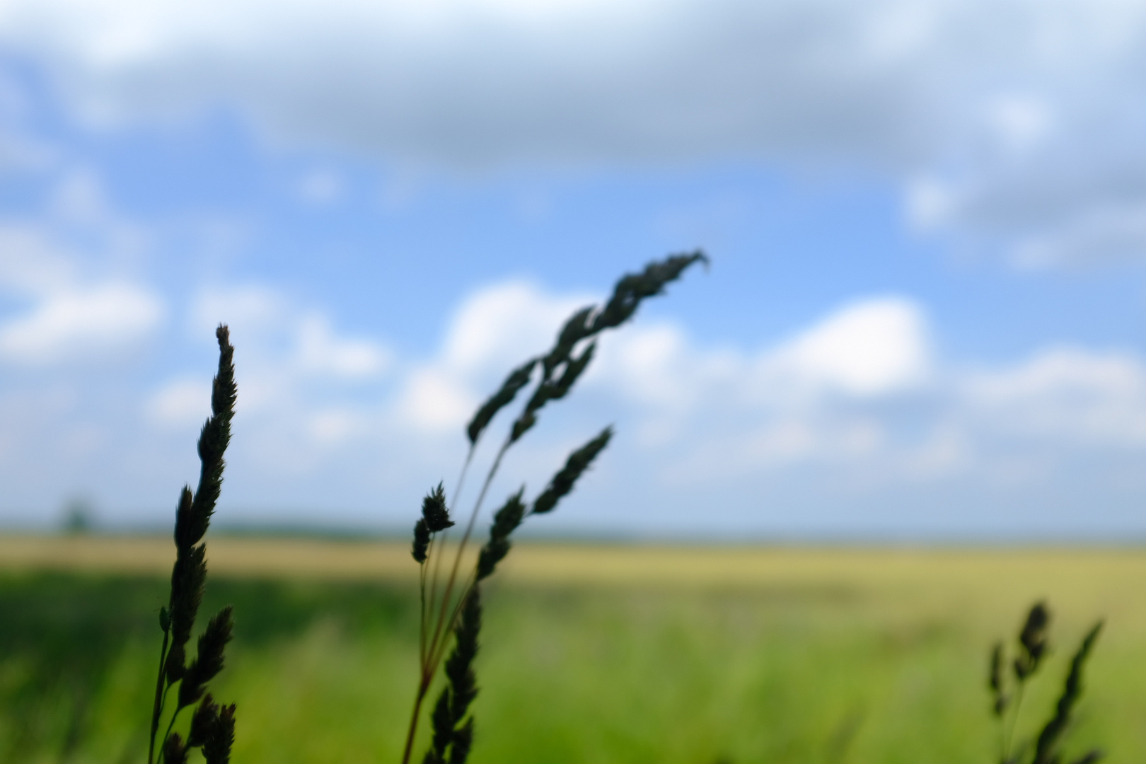 Ein schöner Sommertag 