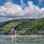 Ein schöner Sommertag am deutschen Rhein.