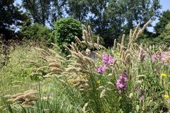 Ein schöner Sommertag in Düsseldorf