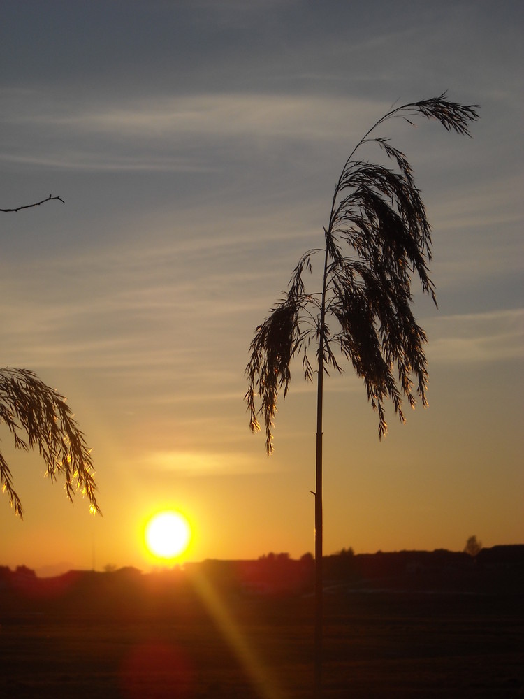 ein schöner sonnenuntergang