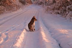 Ein schöner Sonnenuntergang im Schnee