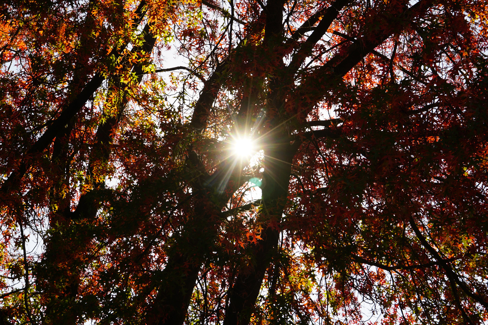               Ein schöner sonniger Herbsttag.