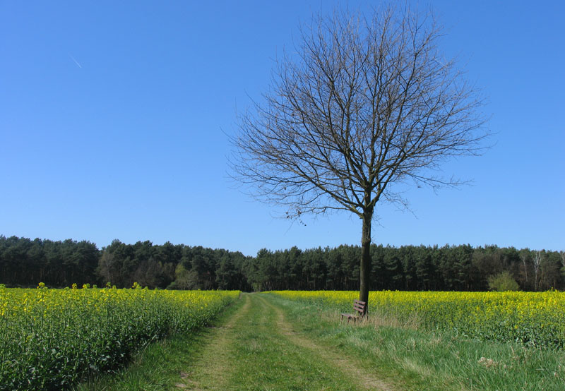 ein schöner Tag