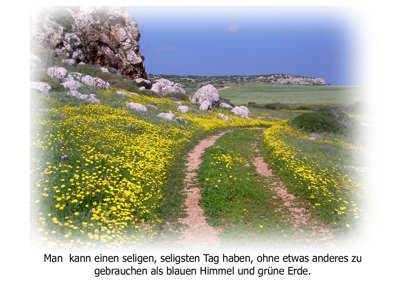 Ein schöner Tag Foto &amp; Bild karten und kalender, spruchkarten