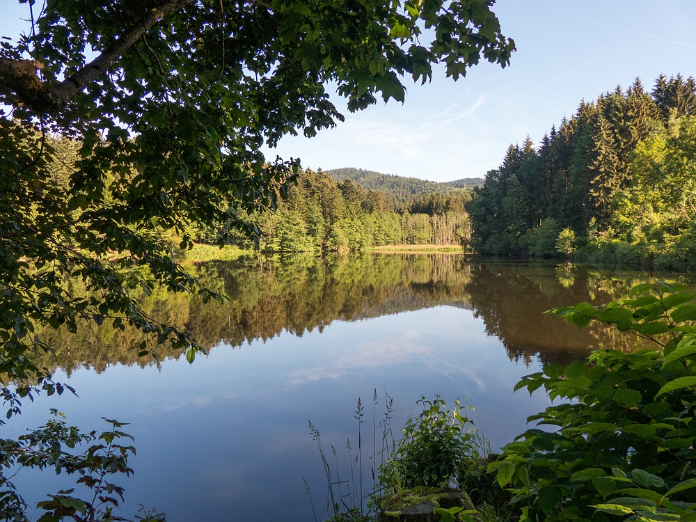 Ein schöner Tag am Freudensee