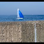 Ein schöner Tag am Meer 5