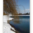 Ein schöner Tag am See