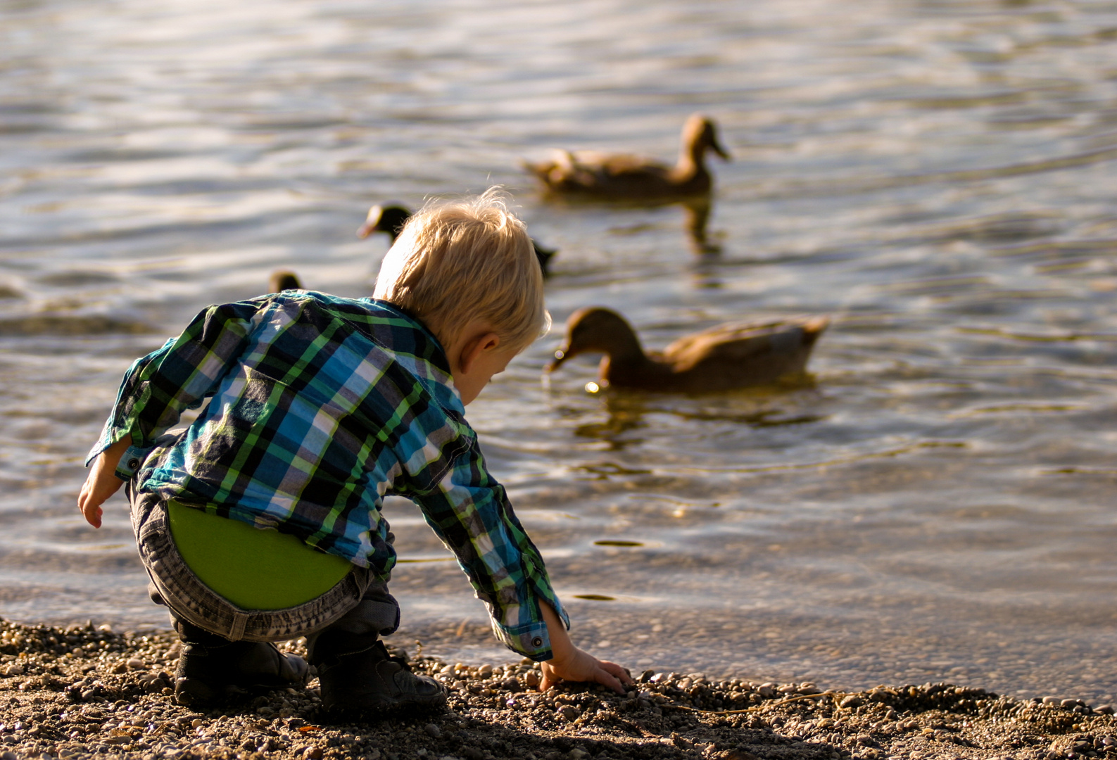 Ein schöner Tag am See...