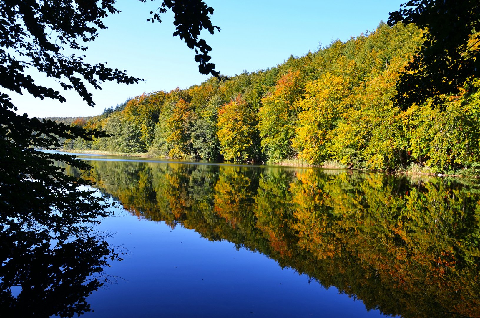 Ein schöner Tag am See